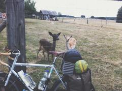 2016 Surly Long Haul Trucker